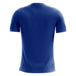 Active Graphic Crew T-Shirt (SW-TSH-004) back view B2B manufacturer
