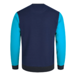Athletic Color Block Sweatshirt (SW-SWT-004) back view by Regar Impex