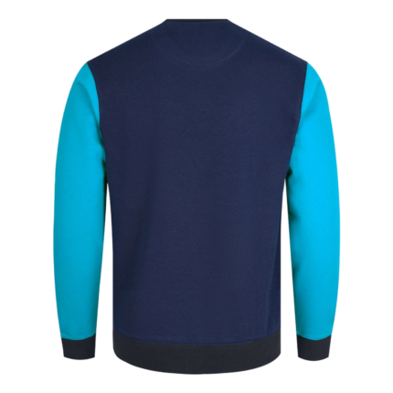Athletic Color Block Sweatshirt (SW-SWT-004) back view by Regar Impex