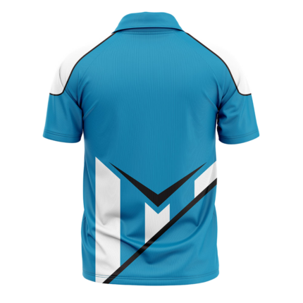 Athletic Striped Dry-Fit V-Neck T-Shirt (SW-TSH-009) back view B2B manufacturer