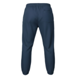 Athletic Training Pants back view by Regar Impex – Sportswear Exporter, OEM/ODM production, Private Label, bulk B2B production in multiple fabric options