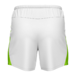 Custom Dry-Fit Sports Shorts back view by Regar Impex – Sportswear Exporter, OEM/ODM production, Private Label, bulk B2B production