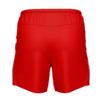 Custom Quick-Dry Graphic Performance Shorts back view by Regar Impex – Sportswear Exporter, OEM/ODM production, Private Label, bulk B2B production