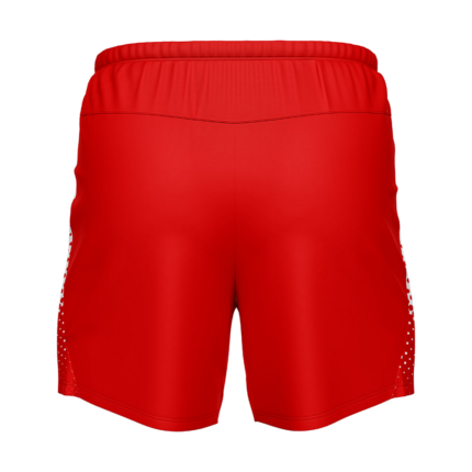 Custom Quick-Dry Graphic Performance Shorts back view by Regar Impex – Sportswear Exporter, OEM/ODM production, Private Label, bulk B2B production