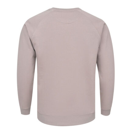 Men’s Raglan Crewneck Sweatshirt Back View – Regar Impex