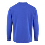 Back view of Men’s Blue Striped Crewneck Sweatshirt by Regar Impex