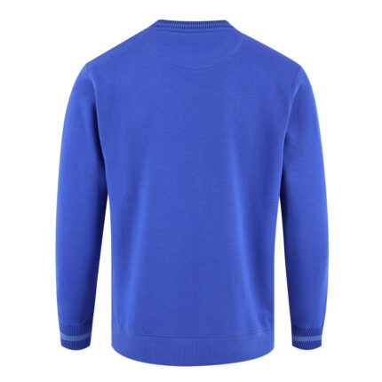 Back view of Men’s Blue Striped Crewneck Sweatshirt by Regar Impex