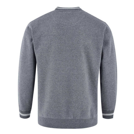 Back view of Men’s Gray Striped Crewneck Sweatshirt by Regar Impex