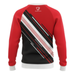 Athletic Graphic Raglan Crewneck Sweatshirt SW-SWT-010 B2B supplier bulk production by Regar Impex