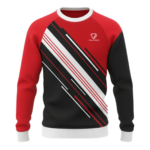 Athletic Graphic Raglan Crewneck Sweatshirt SW-SWT-010 manufacturer for B2B bulk orders by Regar Impex