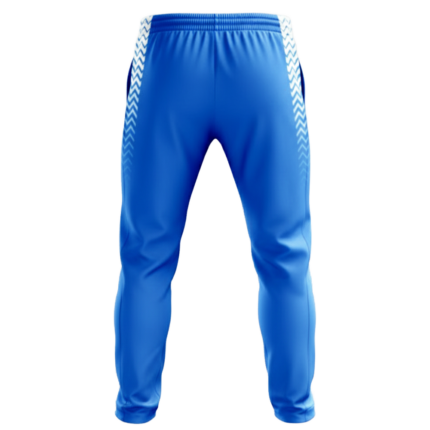 Quick-Dry Custom Training Pants back view by Regar Impex – Sportswear Exporter, OEM/ODM production, Private Label, bulk B2B production