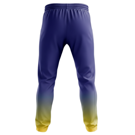 Quick-Dry Sublimated Track Pants back view by Regar Impex – Sportswear Exporter, OEM/ODM production, Private Label, bulk B2B production